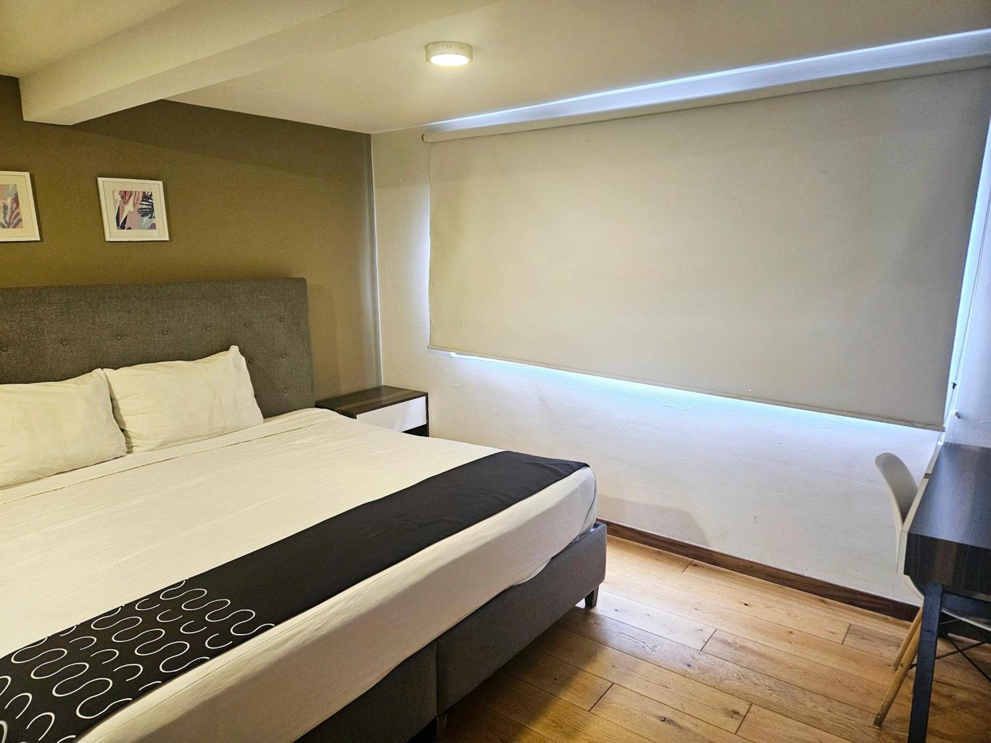 Singular Socrates Hotel Mexico City Luaran gambar