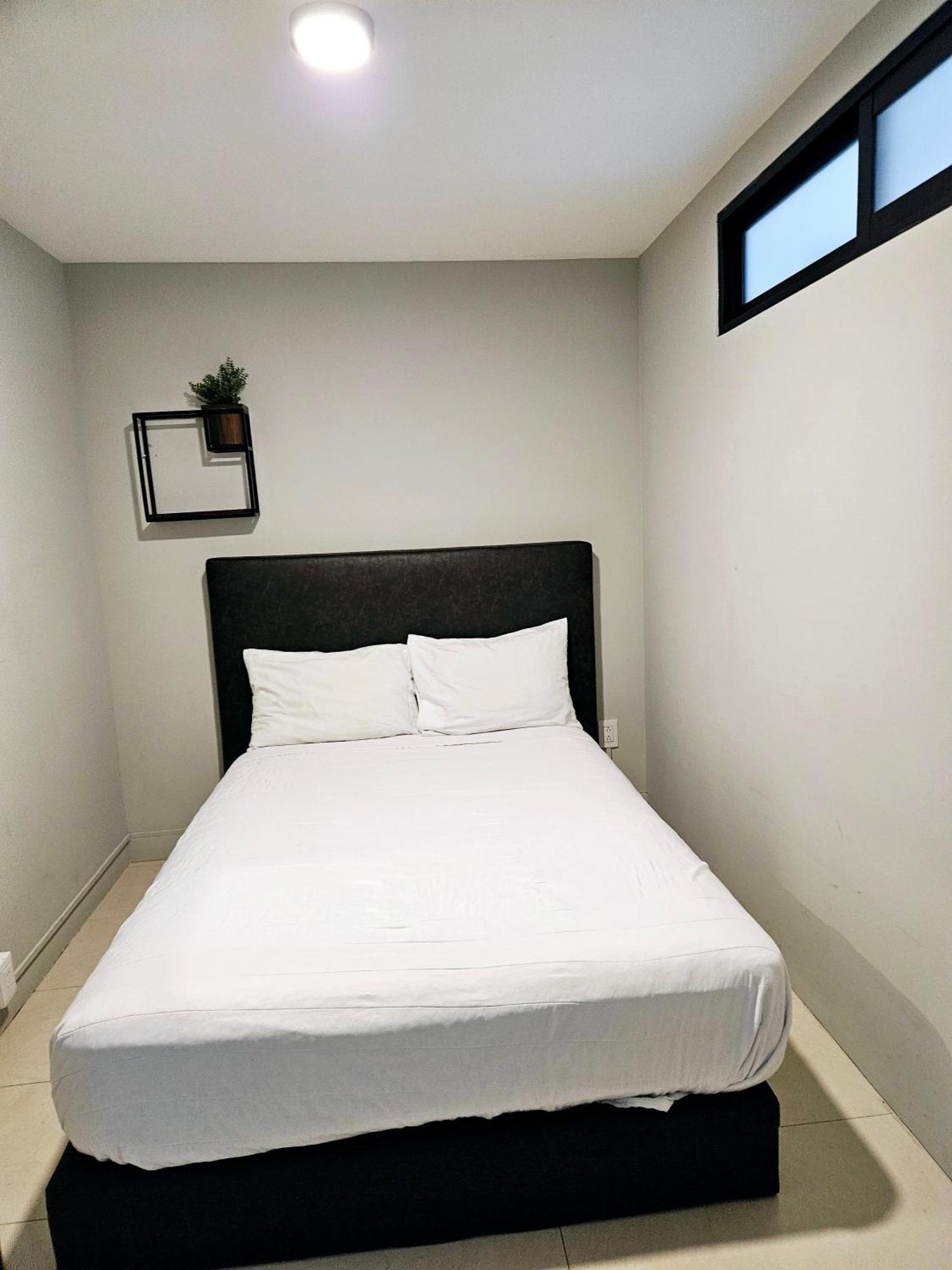Singular Socrates Hotel Mexico City Luaran gambar